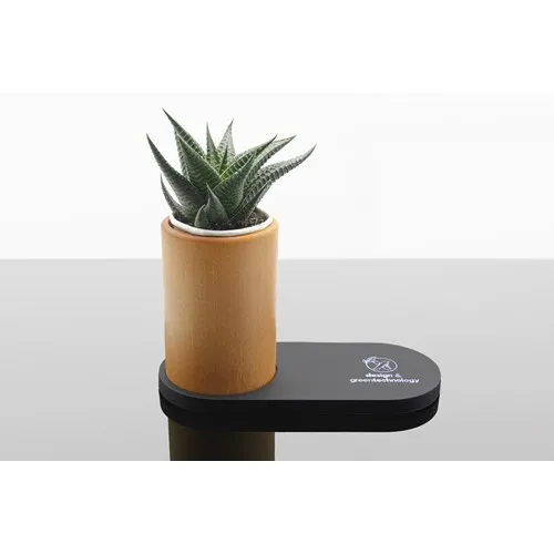 Chargeur 10W et plante dépolluante de bureau