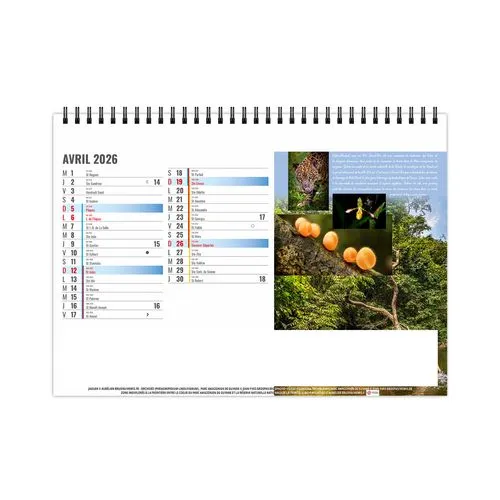 CHEVALET STANDARD 13F - EQUATEUR 2026 - QUADRI