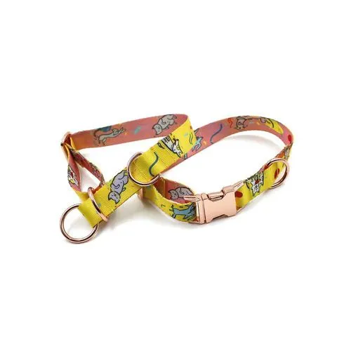 Collier personnalisé pour chien