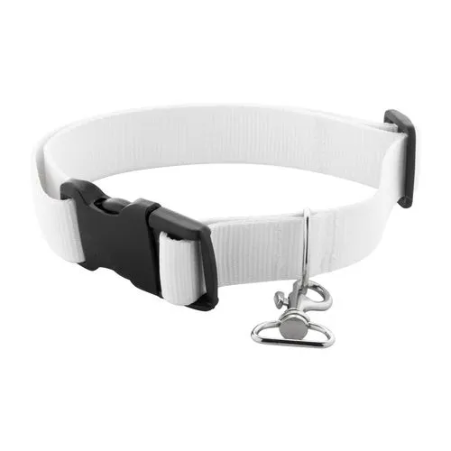 Collier pour chien Ziggy