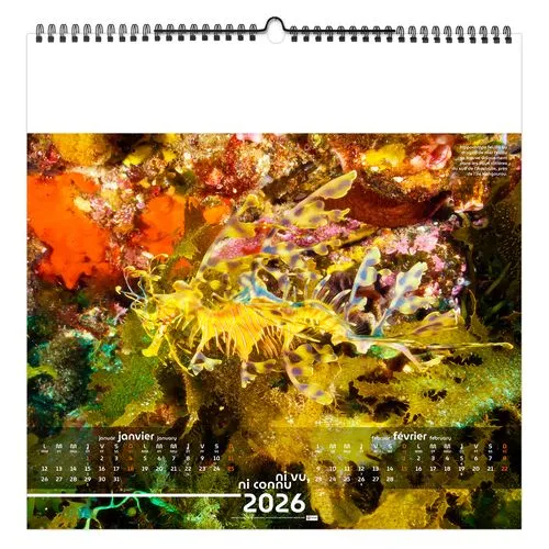 NI VU, NI CONNU 2026 - SMALL 330 x 330 mm - MARQUAGE 1 COULEUR - RELIURE BAGUETTE