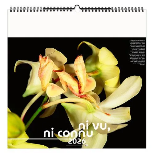 NI VU, NI CONNU 2026 - SMALL 330 x 330 mm - MARQUAGE 1 COULEUR - RELIURE BAGUETTE