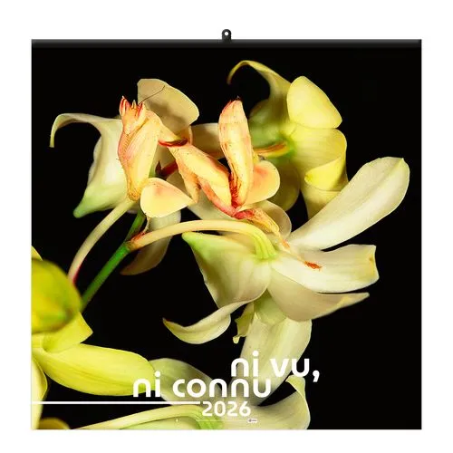 NI VU, NI CONNU 2026 - SMALL 330 x 330 mm - MARQUAGE 1 COULEUR - RELIURE BAGUETTE