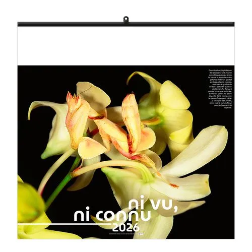 NI VU, NI CONNU 2026 - SMALL 330 x 330 mm - MARQUAGE 1 COULEUR - RELIURE BAGUETTE