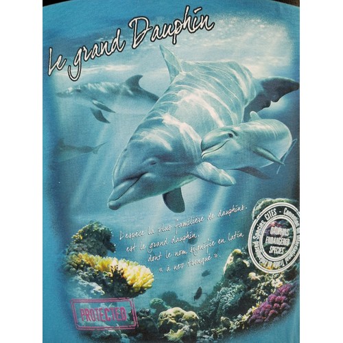 Impression Numérique Directe DTG - Textile Personnalisé Haute Qualité