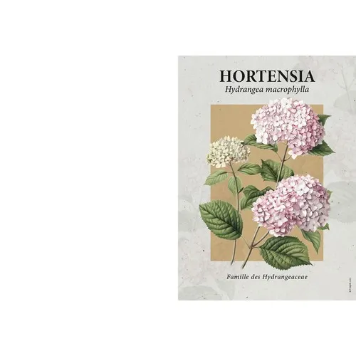 Calendrier Publicitaire Botanique - 4 Vues Assorties Personnalisable