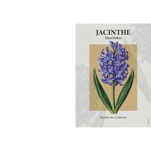 Calendrier Publicitaire Botanique - 4 Vues Assorties Personnalisable