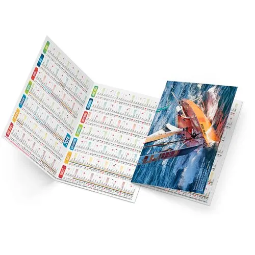 LOIC 2026 - NEUTRE 1 POSE