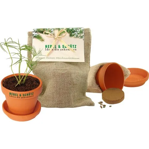 Kit de Croissance Épicéa en Pochon Jute Personnalisable