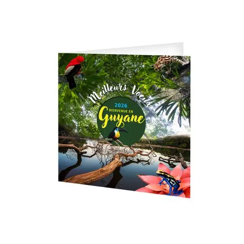 CARTE DE VOEUX - L'EMERAUDE 2026  AVEC ENVELOPPE - SANS MARQUAGE