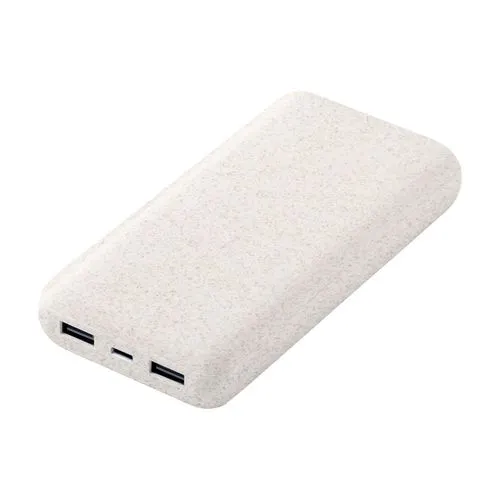 Power Bank Bamster