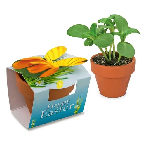 Mini pot lapin avec graines de souci personnalisable - Cadeau éco