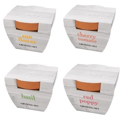 Digital pot en terre cuite 5cm