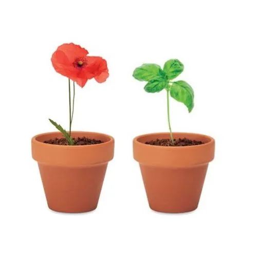 Digital pot en terre cuite 5cm