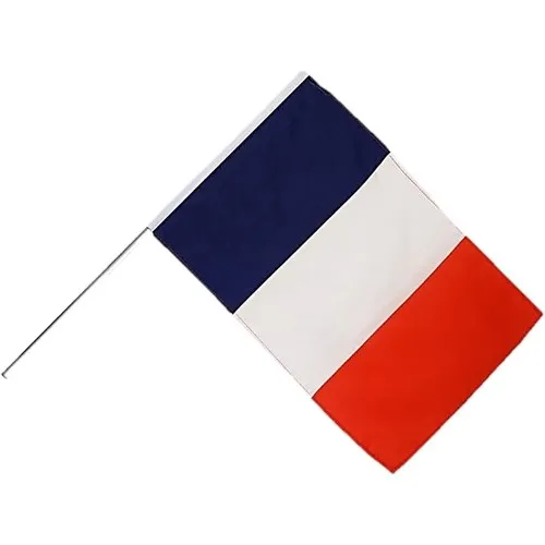 Drapeau 60 x 90 cm à agiter sur hampe plastique 90 cm