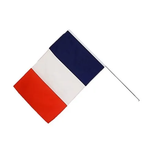 Drapeau 60 x 90 cm à agiter sur hampe plastique 90 cm