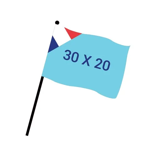 Drapeau de Supporter 44 x 30 cm