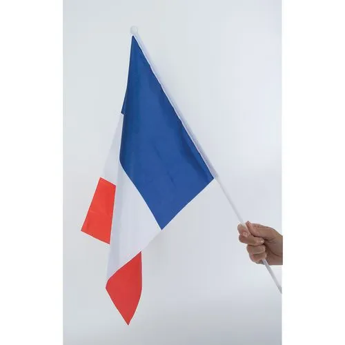 DRAPEAU FRANCAIS 45X30CM