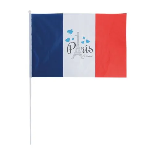 DRAPEAU FRANCAIS 45X30CM