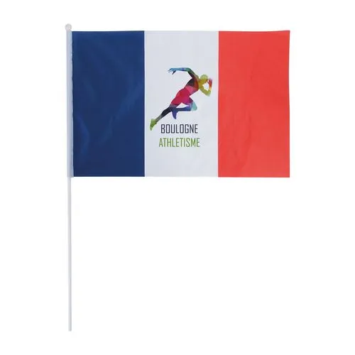 DRAPEAU FRANCAIS 45X30CM
