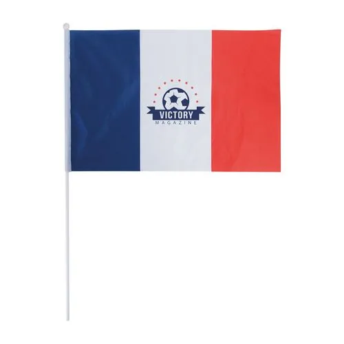 DRAPEAU FRANCAIS 45X30CM