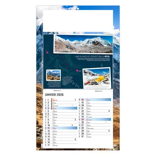 PLAQUE 1 VUE TONY 2026 - DOS CARTON - BLOC B2 - SANS MARQUAGE