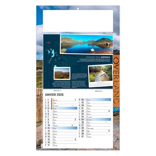 PLAQUE 1 VUE TONY 2026 - DOS CARTON - BLOC B2 - SANS MARQUAGE