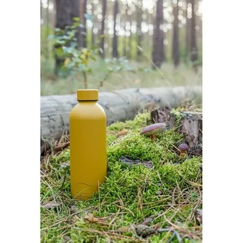 Bouteille isotherme 500 ml | Terryl