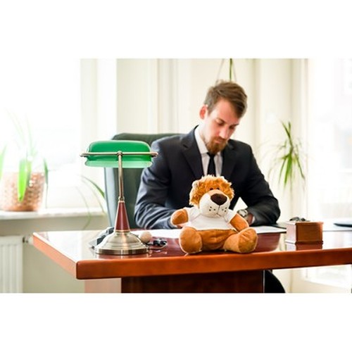 Peluche Lion avec T-shirt Personnalisable - Mascotte Publicitaire 25 cm