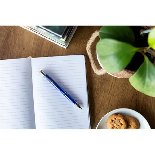 Stylo bille | Nathaniel