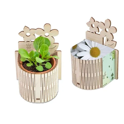 Mini-Jardin Publicitaire Marguerite - Pot Terre Cuite Personnalisable
