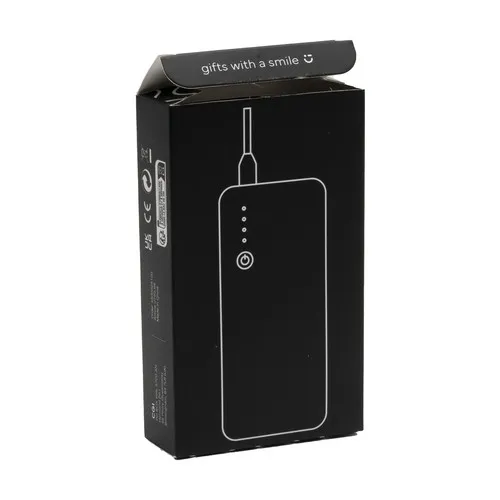Powerbank 10000 C chargeur externe