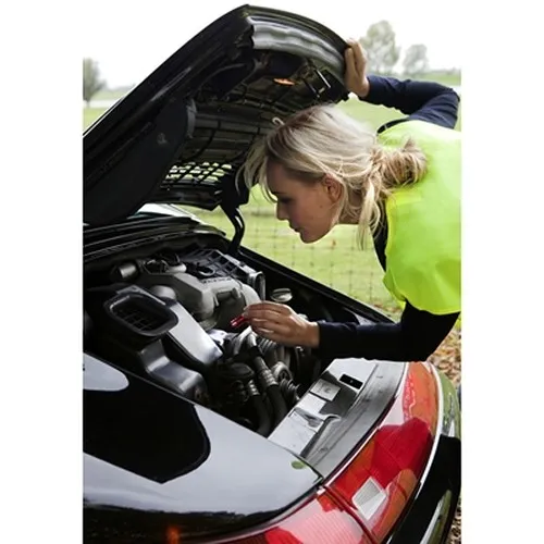 Porte-clés avec mousqueton, 3 LED