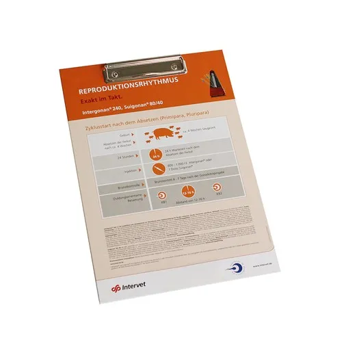 Chemise porte-documents A4 avec pince bloc personnalisable