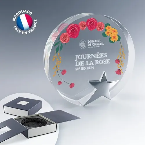 Trophée Étoile en Verre Optique Personnalisable - Coffret Cadeau