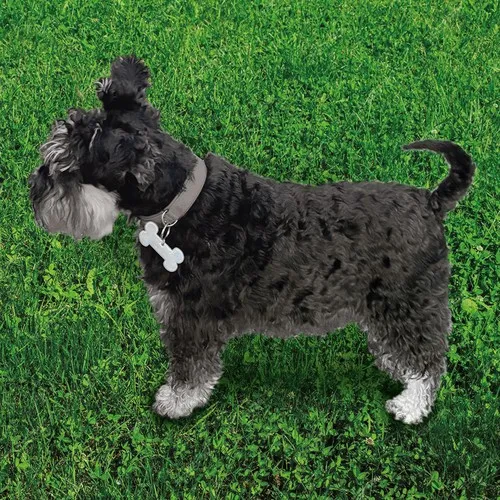 Réflecteur Souple en Forme d'Os - Sécurité Visible Personnalisable