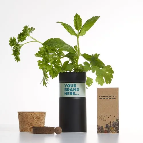 Tubes de jardin de bureau en aluminium - Set de 3 avec graines