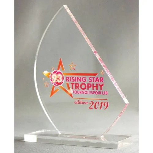 Trophée Personnalisé en Plexiglas - Gravure Laser et Impression