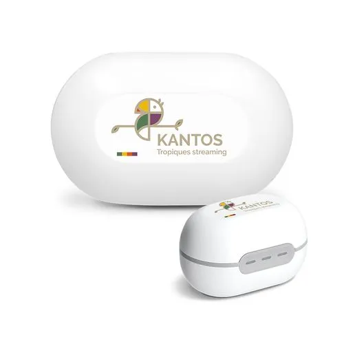 ECOUTEUR SANS FIL BT 5.3 - A CLIPSER