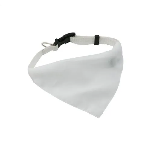 collier pour chien Rex