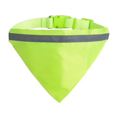 collier pour chien Rex