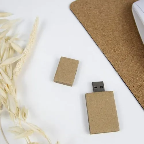 Clé USB Carton 2 GO