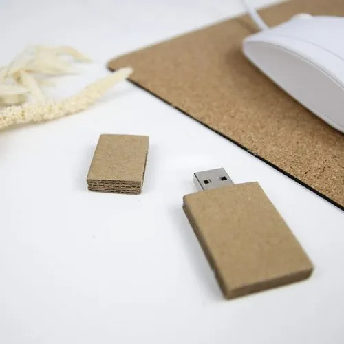 Clé USB Carton 2 GO