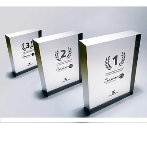 Trophée Personnalisé par Sérigraphie - Récompenses Entreprise