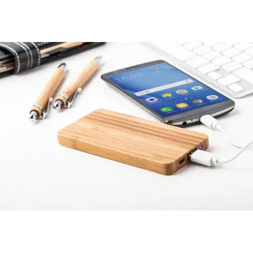 power bank Bamboost