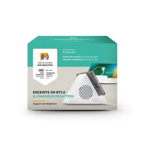 ENCEINTE 3W BT 5.0 & CHARGEUR A INDUCTION