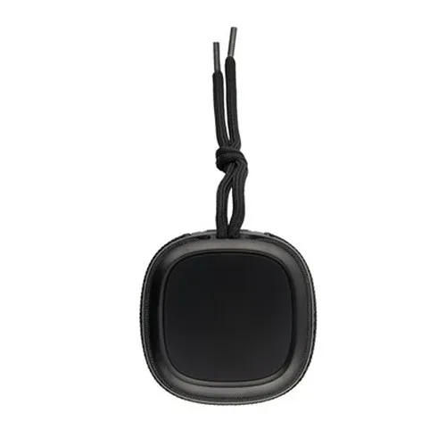 Enceinte sans | Dobrin