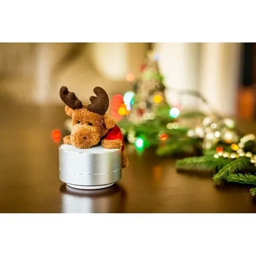 Enceinte sans fil, radio | Silas