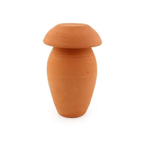 Olla en Terre Cuite Personnalisable avec Graines - Cadeau Écologique