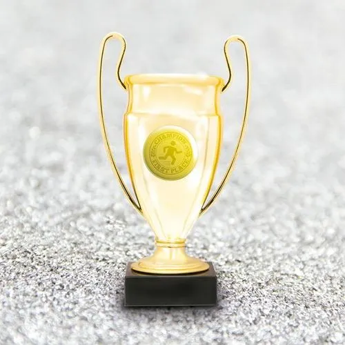 Trophée Globe Bois et Verre avec Coffret - Personnalisable